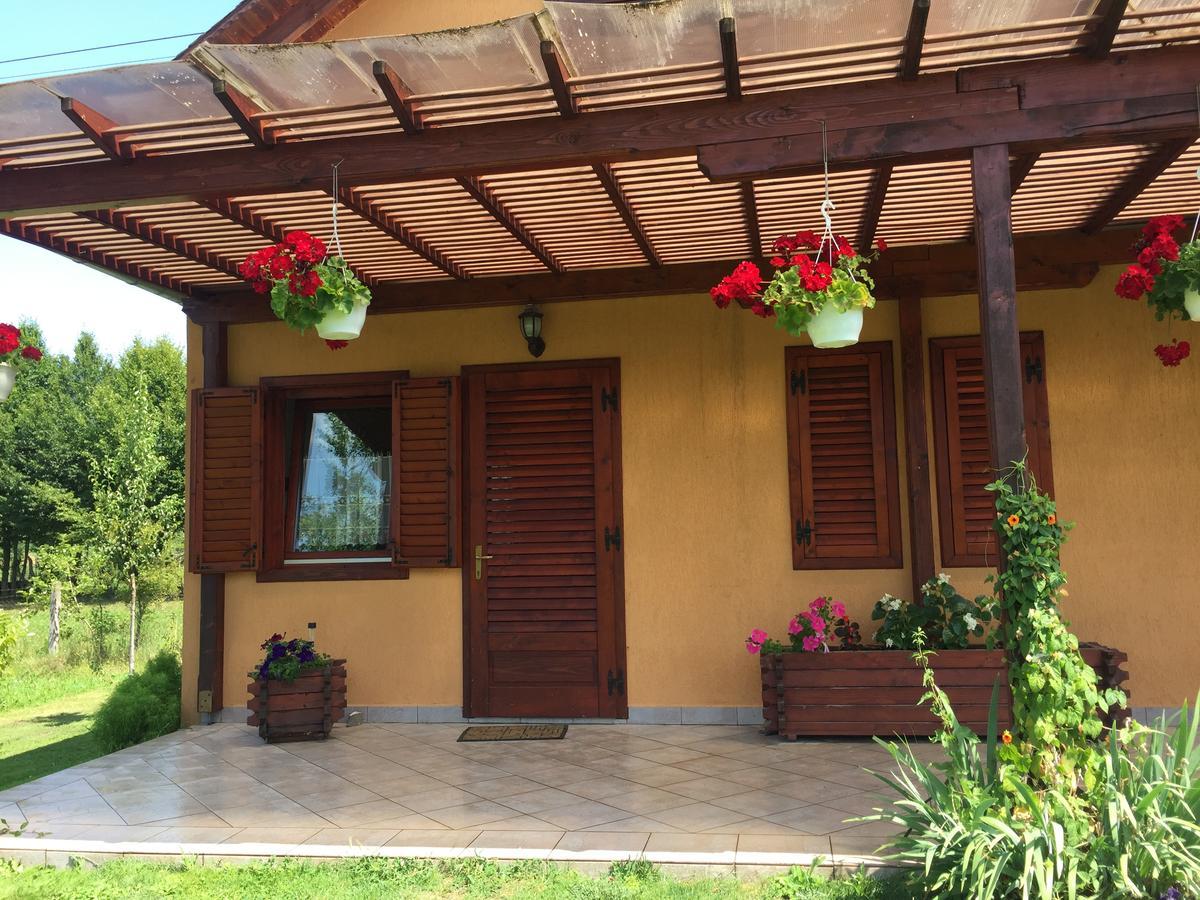 Hanga Apartments Sovata Zewnętrze zdjęcie